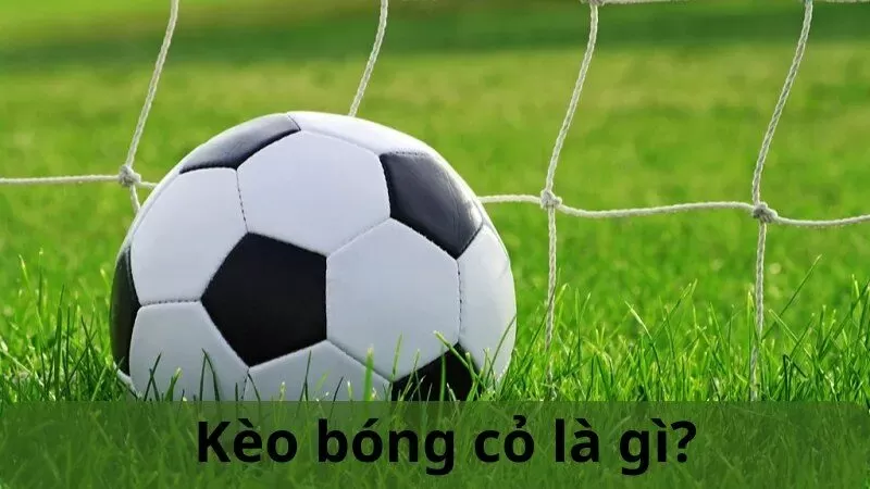 Tại sao n&ecirc;n tham gia chơi c&aacute; cược k&egrave;o b&oacute;ng cỏ