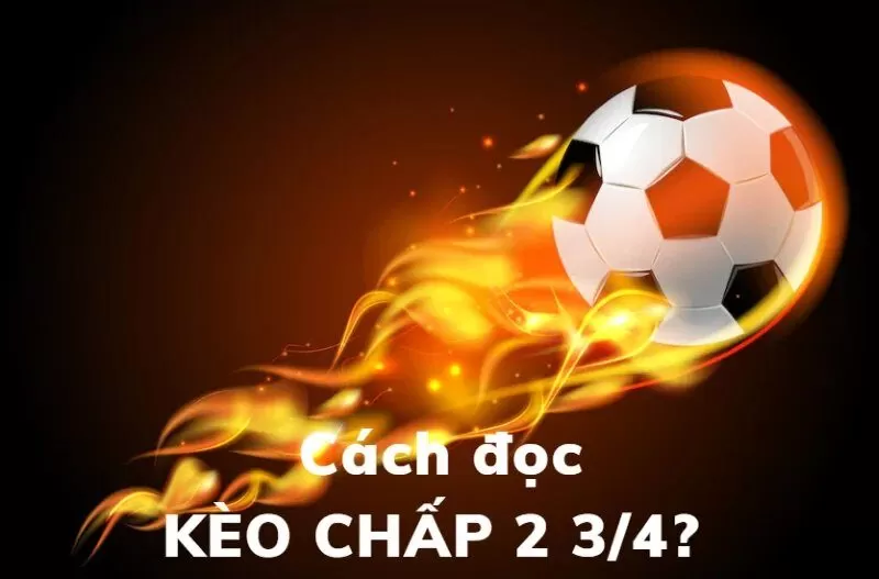 Tham gia chơi Kèo chấp 2.75 tại các địa chỉ chơi uy tín Tham gia chơi Kèo chấp 2.75 tại các địa chỉ chơi uy tín
